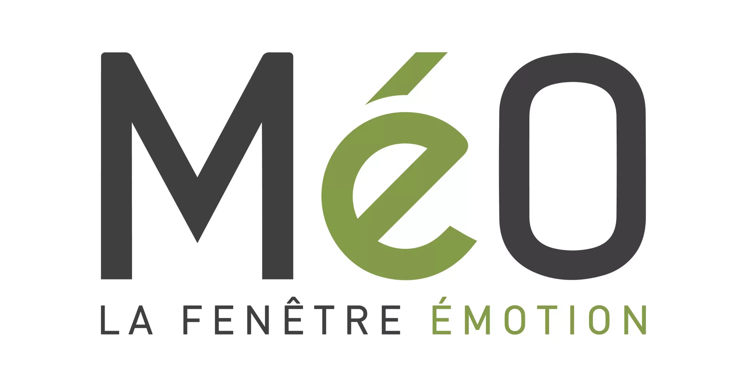 Le 1er fabricant français de menuiseries bois-aluminium